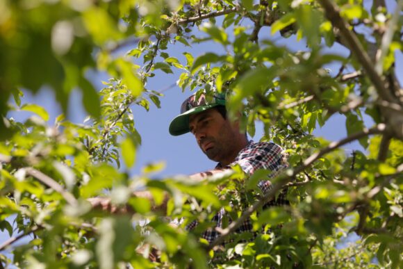 Source-feed image associated with Vermont Is First State to Ban Paraquat Weed Killer Linked to Parkinson’s Disease