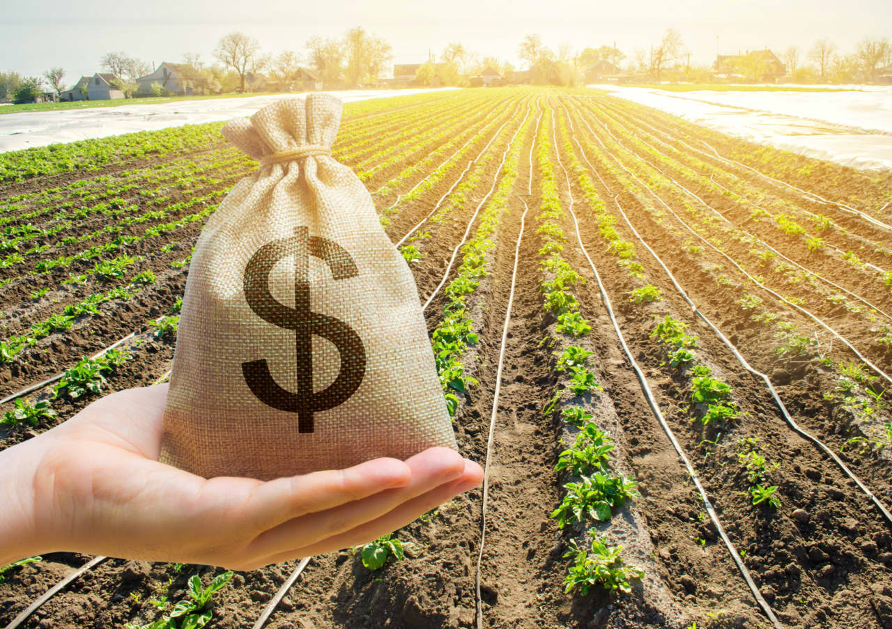 Source-feed image associated with Farmers are already set for a $55 billion payday — why does Washington want to give them even more?