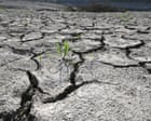 Source-feed image associated with August was joint-hottest month ever recorded globally