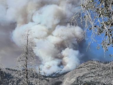 Image from linked report: Helicopter fighting Yosemite National Park fire crashes, killing 2: Officials