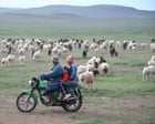Source-feed image associated with Greener pasture of a shepherd’s life lures Chinese workers penned in by ‘996’ jobs