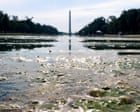 Source-feed image associated with It’s not easy being green: Trump’s botched reflecting pool becomes 2,028ft metaphor