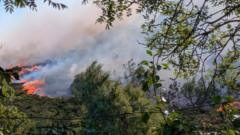 Source-feed image associated with Summer wildfires caused catastrophic hidden damage, scientists warn