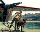 Image from linked report: Heart of the Beast review – Brad Pitt survivalist dogmance serves up wilderness with side of cheese
