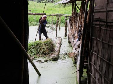 Source-feed image associated with Flood death toll in India's Assam reaches 100