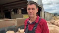 Source-feed image associated with Struggling pig farmers say £2m support package 'not enough'