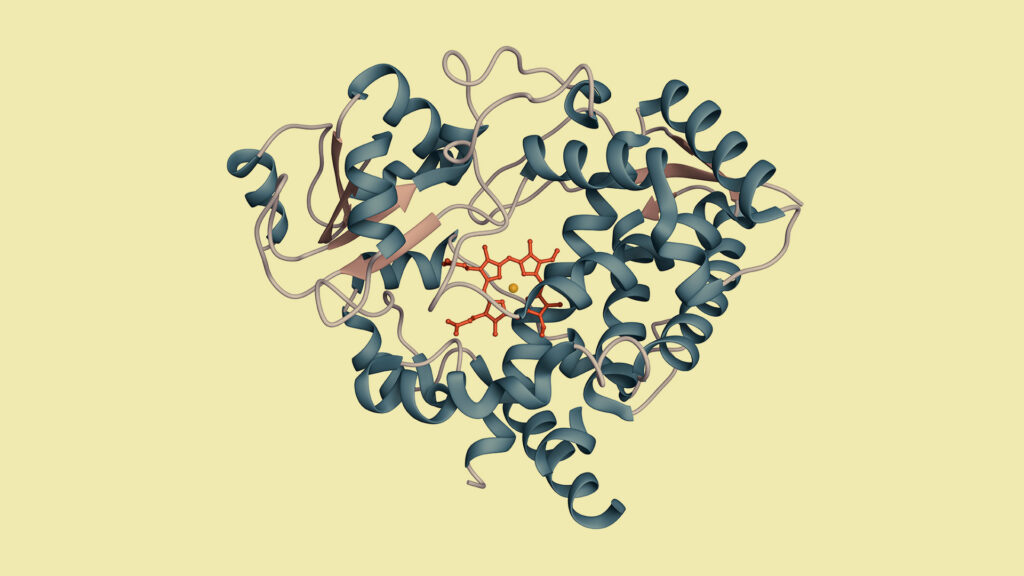 Source-feed image associated with STAT+: Drug metabolism AI competition results show that bigger may not always be better