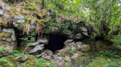 Source-feed image associated with Ancient cave art discovery suggests first known humans in Ireland walked over from Wales