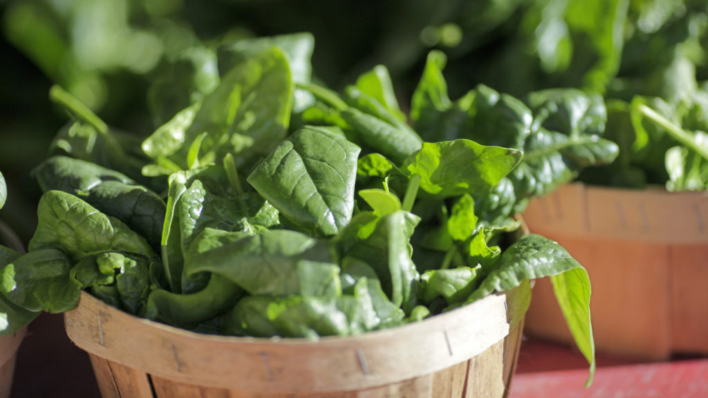 Source-feed image associated with STAT+: FDA takes another look at botanical drugs