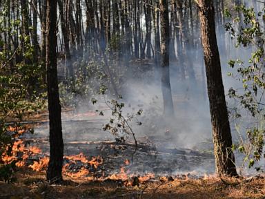 Source-feed image associated with A heat wave threatens to reignite France’s mega-fire near Bordeaux