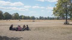 Source-feed image associated with Temperatures could climb to 28C in late burst of warmth