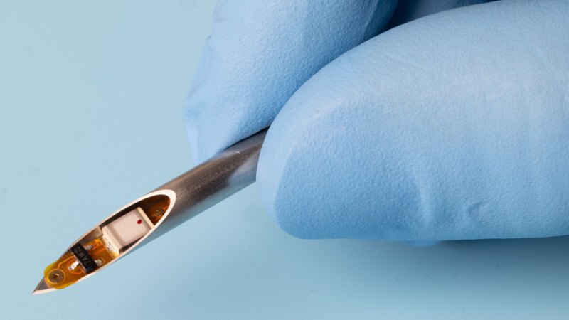 Image from linked report: Tiny implants can use the body itself to talk to each other