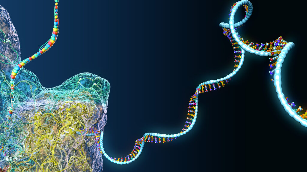 Source-feed image associated with STAT+: ARPA-H funds biotechs working on custom RNA therapies