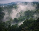 Source-feed image associated with Papua New Guinea at risk of food shortages as El Niño brings frost and drought
