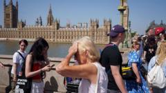 Source-feed image associated with England's warmest June on record down to record-breaking heatwave