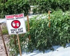 Image from linked report: New research finds 485 chemicals in US pesticide products linked to breast cancer