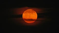 Source-feed image associated with Keep an eye out for tonight's Strawberry Moon