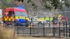 Image from linked report: Three teenagers die after car enters River Wear
