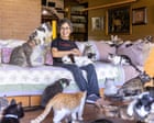 Source-feed image associated with Cat ladies aren’t that ‘crazy’ after all – the social science behind the stereotype