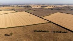 Source-feed image associated with Prolonged drought could cause shortage of some foods, farmers' union head says