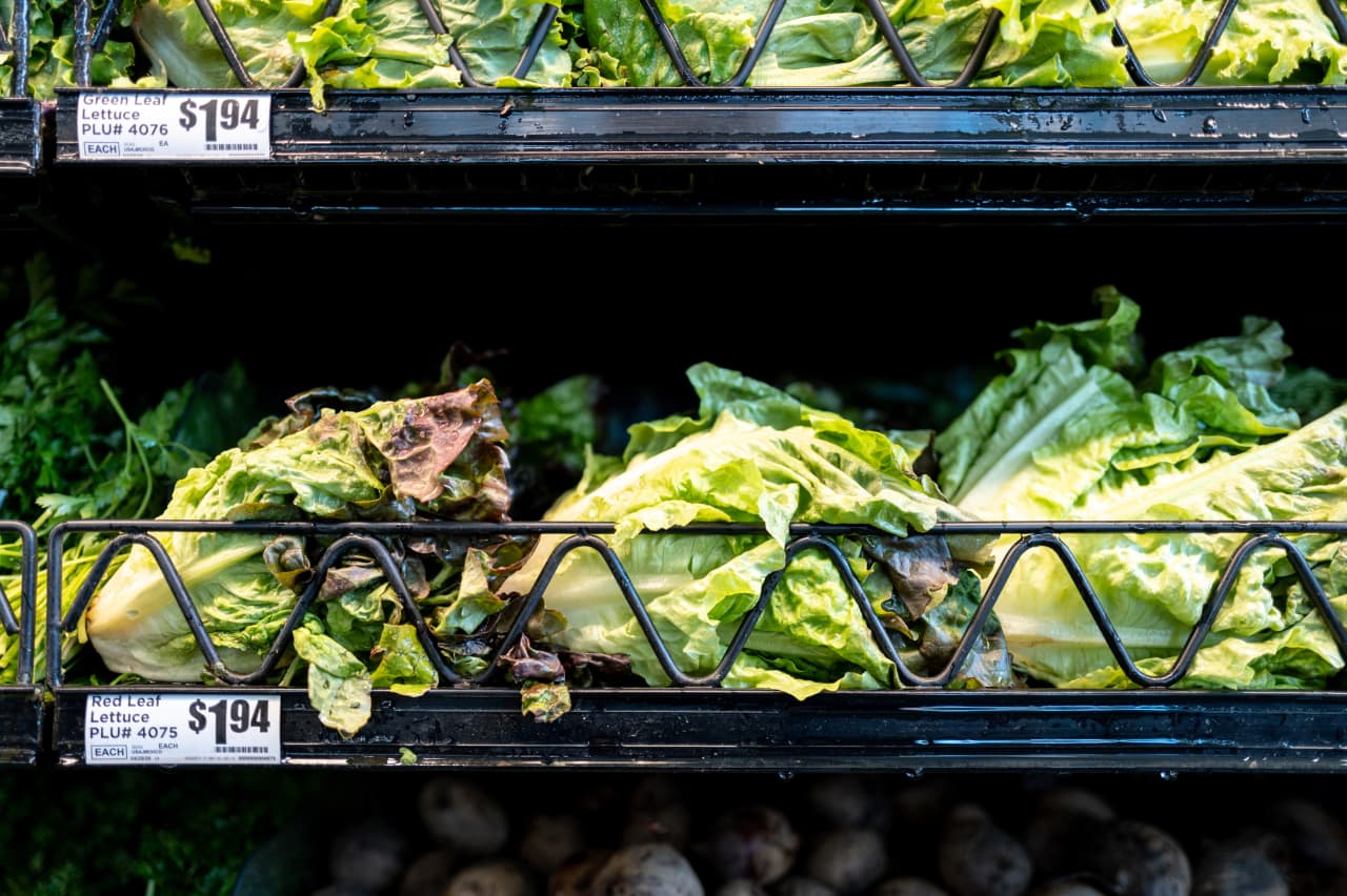 Source-feed image associated with Skip the lettuce, cook your other greens and more advice on avoiding cyclosporiasis