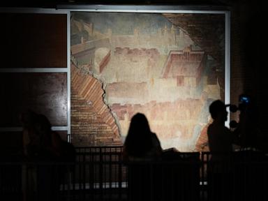 Source-feed image associated with Ancient Rome's biggest fresco and mosaic open to public for first time since discovery 3 decades ago