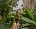 Source-feed image associated with Artists find creative haven in Côte d’Ivoire’s ‘calm and soothing’ Grand Bassam