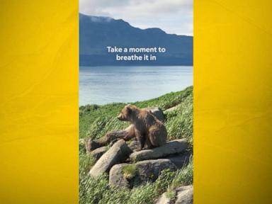 Source-feed image associated with WATCH: Nat Geo's 'Moment on the Earth' captures bears in Alaska’s Katmai National Park
