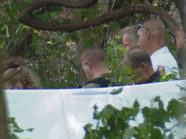 Source-feed image associated with 3 killed when private plane crashes into Maryland woods: Officials