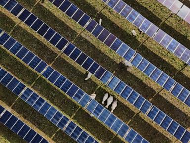 Source-feed image associated with Solar power hits new milestones in the US even as Trump boosts coal over clean energy