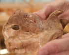 Image from linked report: Neanderthal remains may be earliest human ancestor find killed by a spear