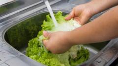 Source-feed image associated with US reports first two deaths linked to 'explosive diarrhoea' outbreak