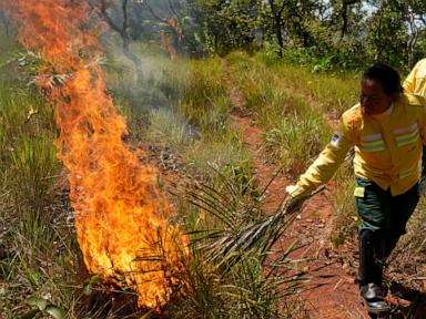 Source-feed image associated with In Brazil’s Cerrado region, Indigenous fire practices reshape wildfire strategy