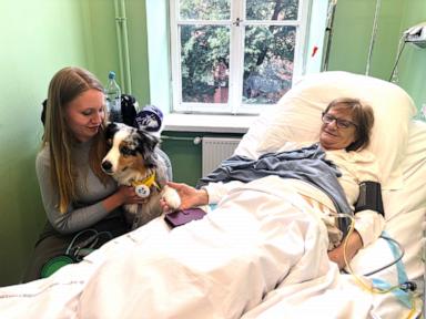 Source-feed image associated with A cancer patient’s cats inspired a push for pets in hospice wards