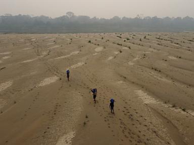 Source-feed image associated with Think it's hot now? The next five years will smash records, UN says