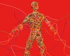 Image from linked report: Feeling wired? The truth about ‘nervous system resets’