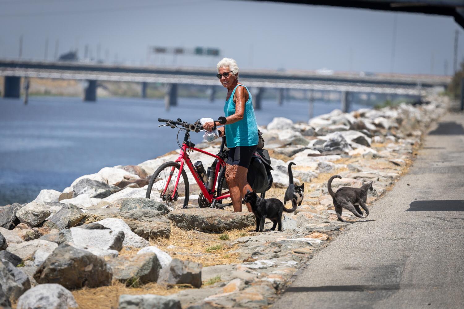 Source-feed image associated with The eight-mile gap in the L.A. River bike path downtown has a billion-dollar problem