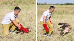 Source-feed image associated with Kidnapped rare Serbian eagle freed into wild after rescue