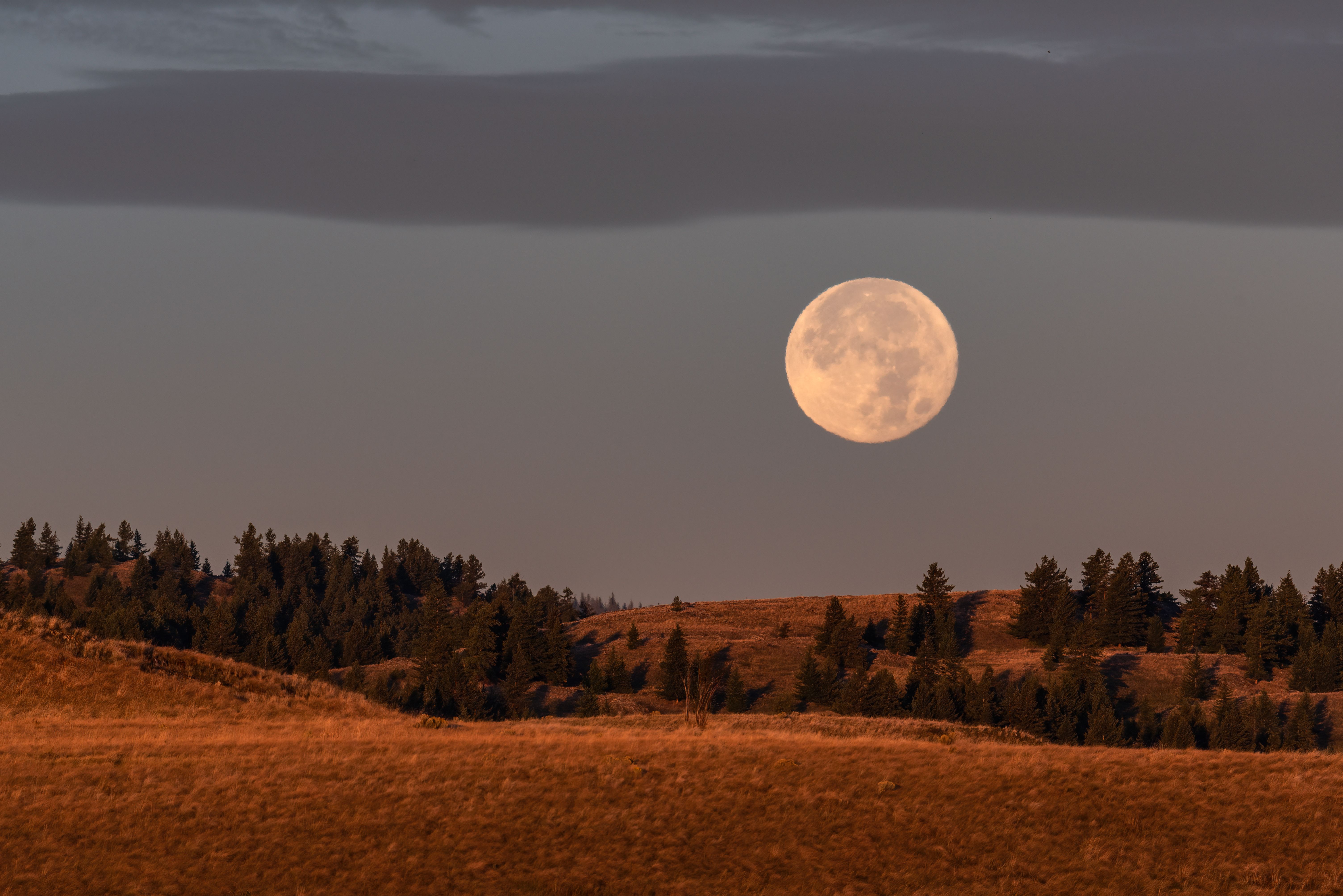 Image from linked report: The 2026 Harvest Moon in Aries Is Coming—Here’s What It Means for Every Star Sign