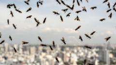 Source-feed image associated with Have you heard of Flying Ant Day?