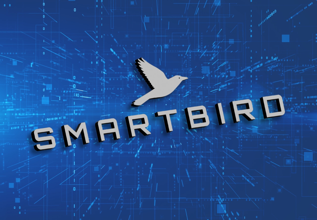 Source-feed image associated with Goodbye, Allbirds. Hello ‘Smartbird’: Once-trendy sneaker maker’s bizarre transformation into an AI company becomes official.