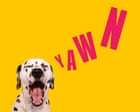 Source-feed image associated with 13 surprising reasons you’re always dog tired – and what to do about it
