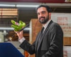 Source-feed image associated with Can Mamdani’s plan for city-run stores deliver cheap food for New Yorkers?