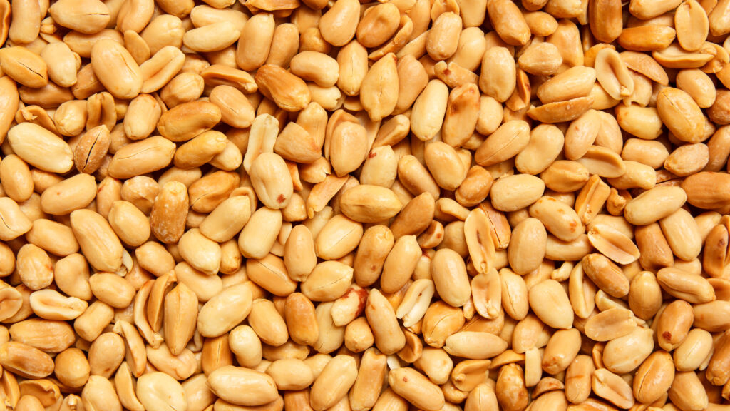 Source-feed image associated with STAT+: Could poop pills be the next treatment for food allergies?