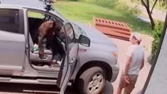 Source-feed image associated with Watch: Man comes face-to-face with bear inside truck