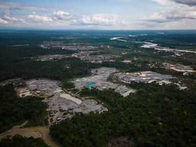 Source-feed image associated with Five Amazon countries arrest hundreds in major crackdown on environmental crime