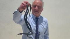 Source-feed image associated with Robert F Kennedy Jr grabs writhing snakes on a Florida patio