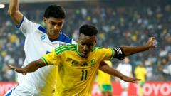Source-feed image associated with South Africa made to look like fools over World Cup visa issues, says minister