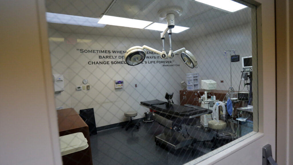 Source-feed image associated with Opinion: Many post-Dobbs abortion fears have not come to pass. What does that mean for advocates?