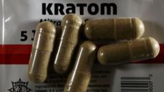 Image from linked report: What is kratom, the 'gas station heroin' alarming officials in the US?